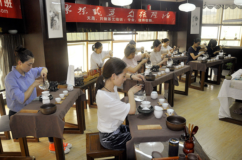 八月茶艺师培训班哪里可以报名呢? 2025年